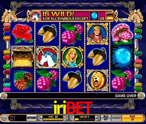 Descubra o Mundo do Cassino Online com iribet